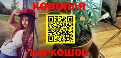 спайс Славгород