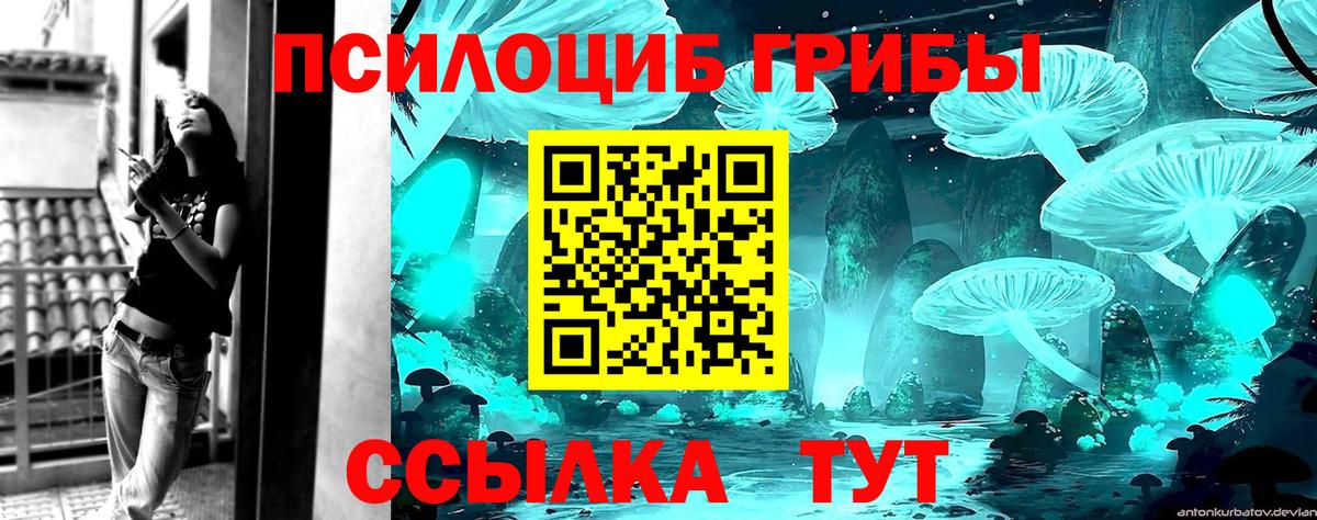 Арсеньев  Галлюциногенные грибы Psilocybe  Вход с VPN 
